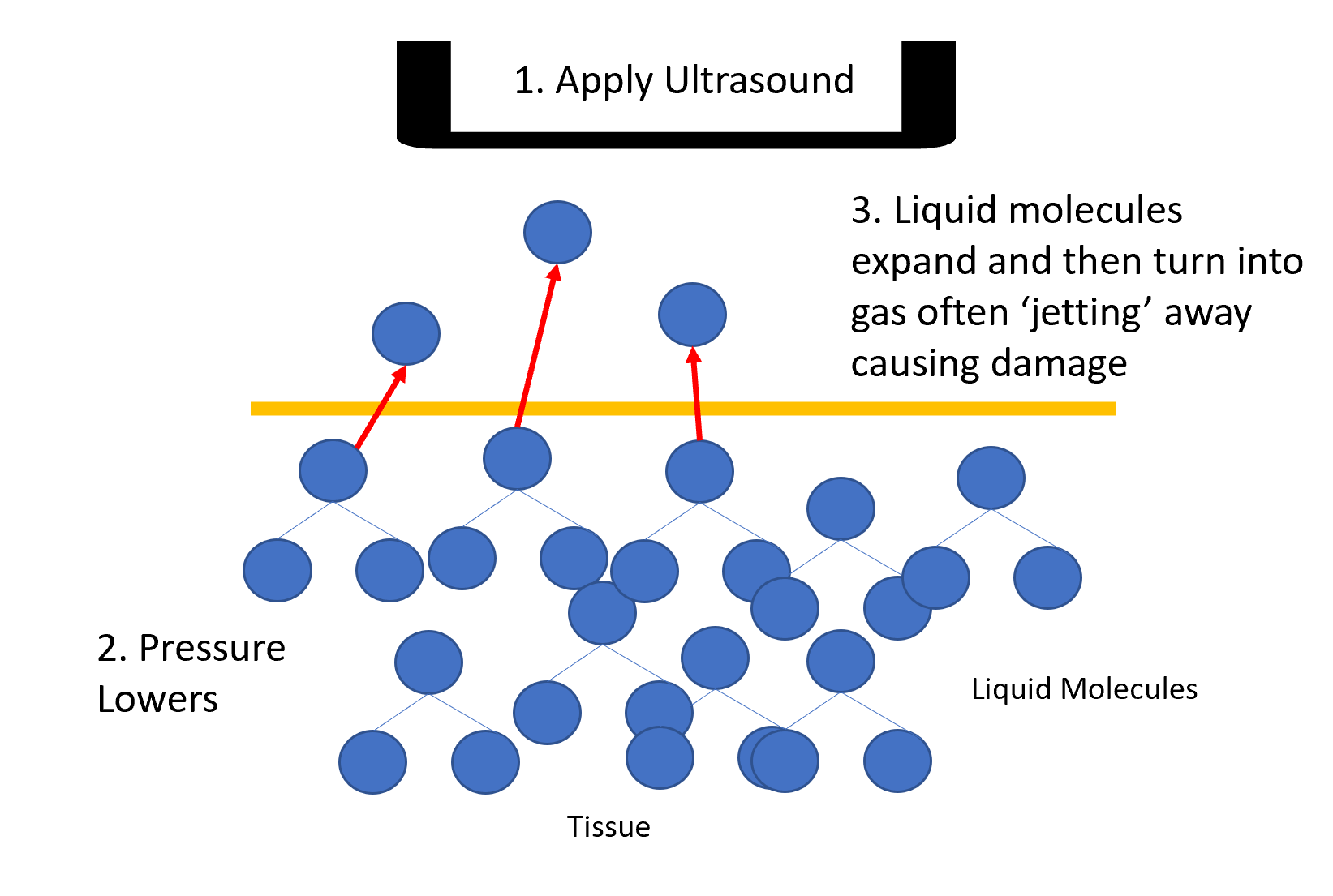 What Does Ultrasound Do?
